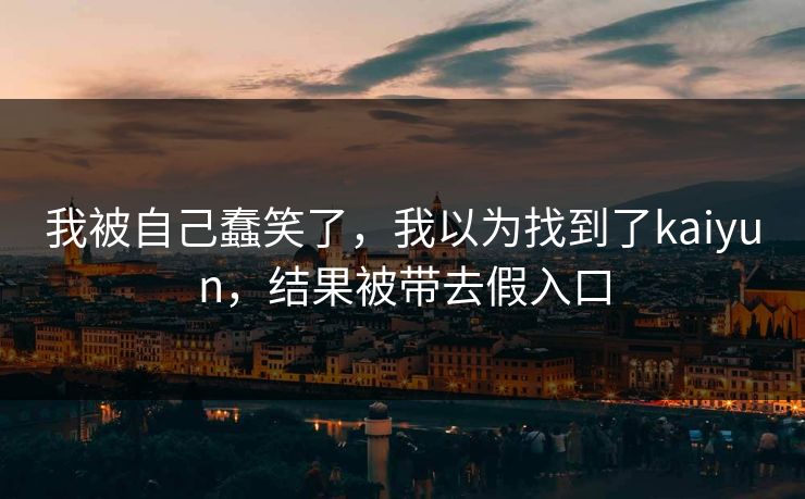 我被自己蠢笑了，我以为找到了kaiyun，结果被带去假入口